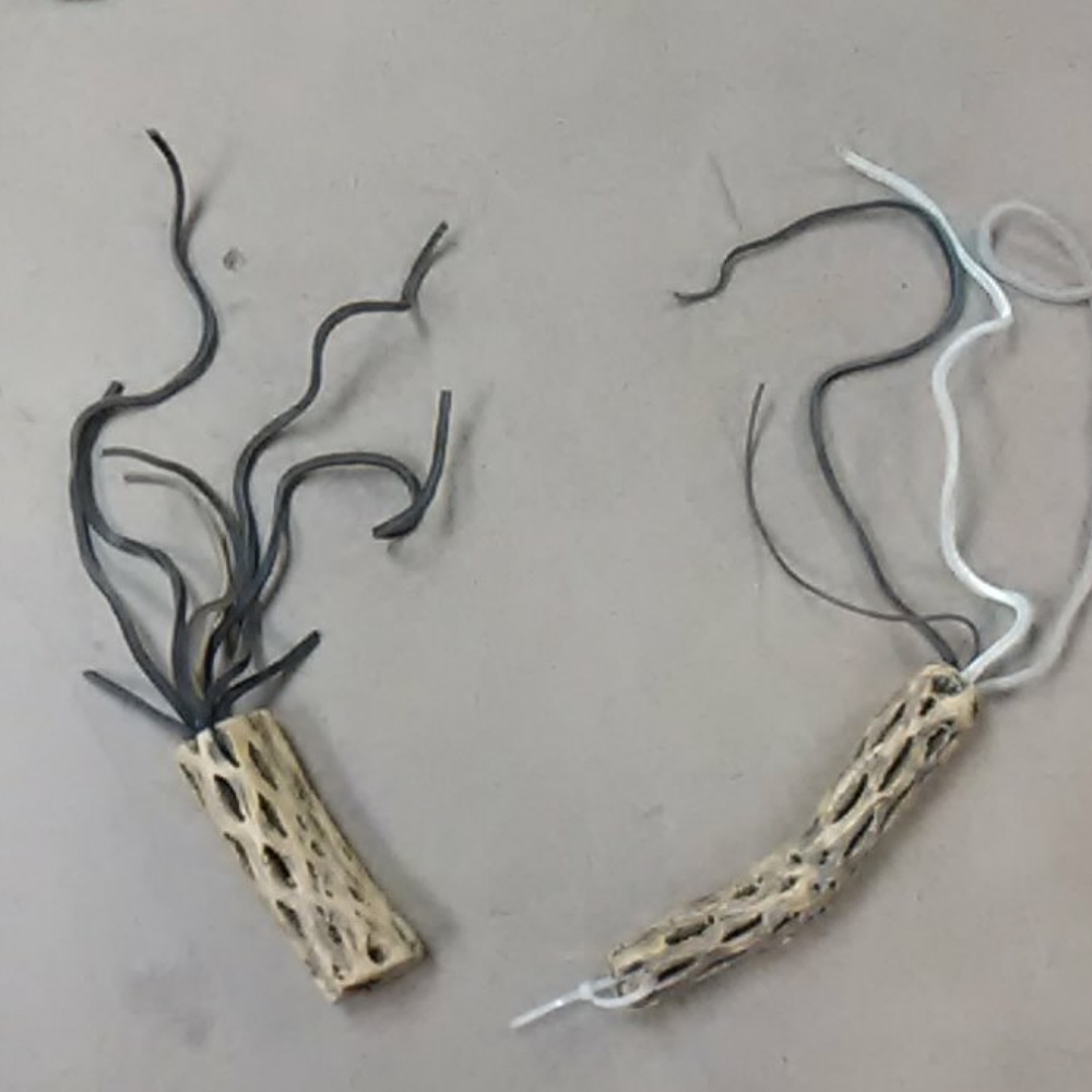 Fetish whips